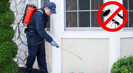 Çobanlar Dezenfeksiyon böcek ilaçlama ve haşere kontrolü — ilaclama-tr.com